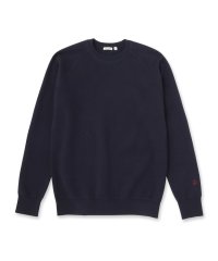 DRESSTERIOR/ドレステリア DRESSTERIOR コットンカシミヤスムースニット/508425411