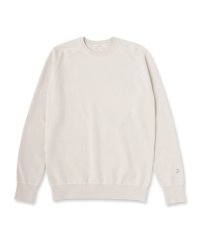 DRESSTERIOR/ドレステリア DRESSTERIOR コットンカシミヤスムースニット/508425411