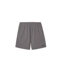 THE NORTH FACE/ザ・ノース・フェイス THE NORTH FACE VAGRANT SHORT/508431014