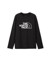 THE NORTH FACE/ザ・ノース・フェイス THE NORTH FACE L/S ES BIG LOGO T/508431030