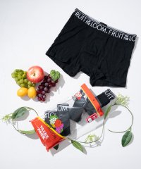 FRUIT OF THE LOOM/フルーツオブザルーム FRUIT OF THE LOOM FTL 5P TC フライス ボクサーブリーフ 【返品不可商品】/508432006