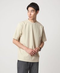 green label relaxing/CARREMAN クルーネック Tシャツ/508400215