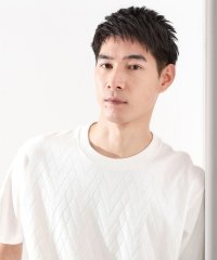THE SHOP TK(Men)/ザ ショップ ティーケー(メンズ) THE SHOP TK(Men) ジオメリンクスSS/508440706