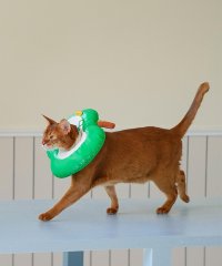 ALWAYS/アイモハ aimoha aimoha home/アップル型 ペット用エリザベスカラー 【返品不可商品】/508441886