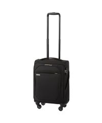 ACE/エース ACE 新商品/エース/ACE/テセウス TR/ソフトトローリー/機内持込/31L【ace－35121】/508443408