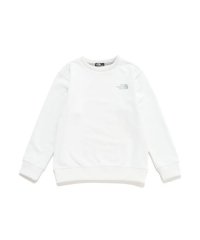 THE NORTH FACE/ザ・ノース・フェイス THE NORTH FACE COLORE SWEAT CREW/508447155
