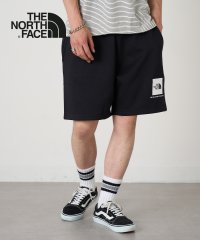 THE NORTH FACE/ザ・ノース・フェイス THE NORTH FACE 8C1J/M BOX NSE REGULAR SHORT ワンポイント ロゴ ハーフパンツ/508449101