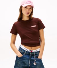 TOMMY HILFIGER/トミー ヒルフィガー TOMMY HILFIGER レギュラーフィットショートスリーブTシャツ/508451490