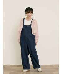 Samansa Mos2/サマンサ モスモス Samansa Mos2 刺繍デニム/ヒッコリーサロペットパンツ/508452337