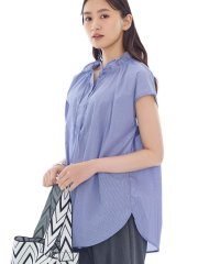 INDIVI/インディヴィ INDIVI フリル衿ギャザーブラウス/508454843