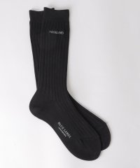 BLUE LABEL CRESTBRIDGE/リブソックス/508413384