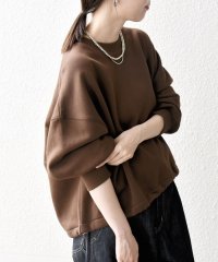 SHIPS any WOMEN/《一部予約》【WEB限定】SHIPS any:〈洗濯機可能〉USA コットン 裏起毛 コクーン プルオーバー/506843813