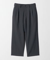 BEAUTY&YOUTH UNITED ARROWS/エアロ ツイル スラックス/508442303