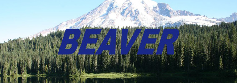 BEAVER (ビーバー)